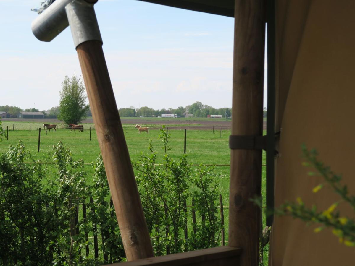 Luxe Safaritenten Petit013 - Nieuw Tilburg Eksteriør billede